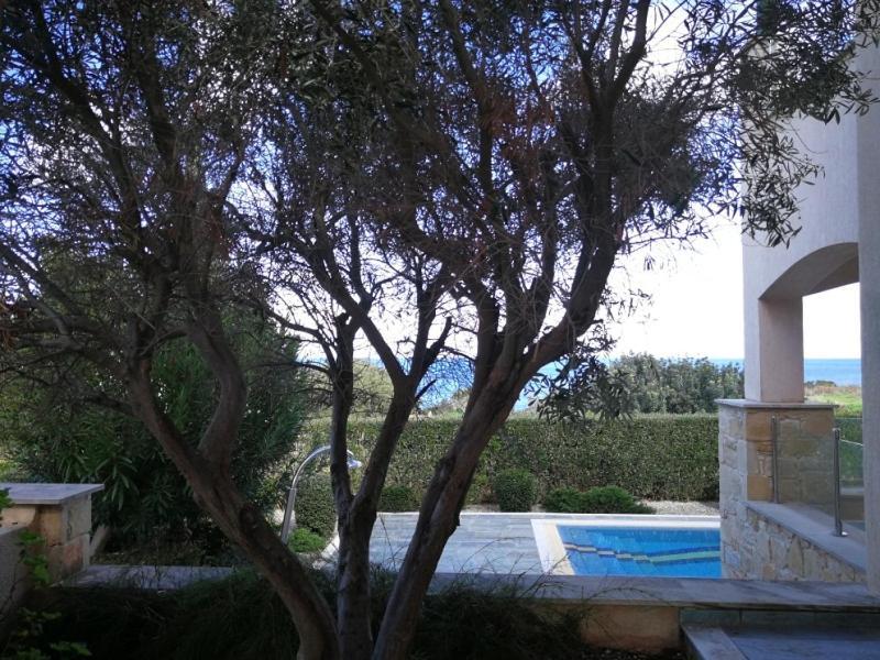 Amorosa Villas Polis Kültér fotó